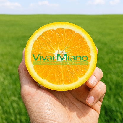 Pianta di Arancio Lane Late